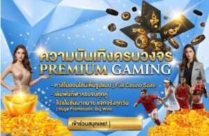 Casino - Reliable website, good payouts.